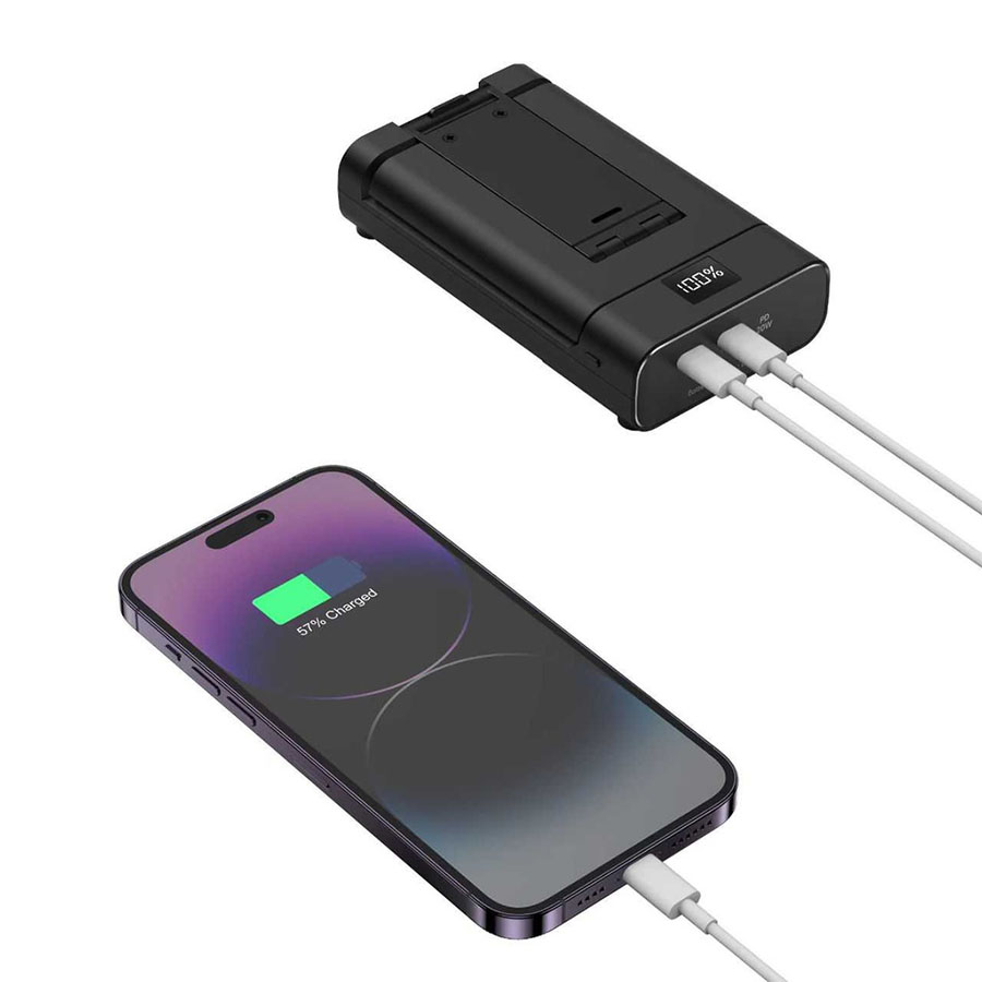 Green Lion Power Bank 10000mAh & Foldable Mobile Stand -Black
